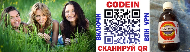 маркетплейс состав  Сосновка  Кодеиновый сироп Lean напиток Lean (лин) 