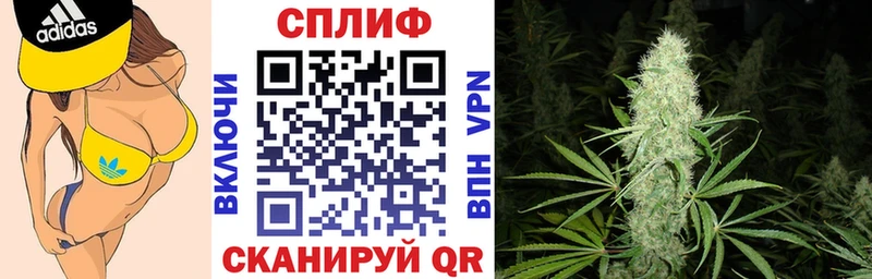 Конопля White Widow  где купить наркотик  Сосновка 